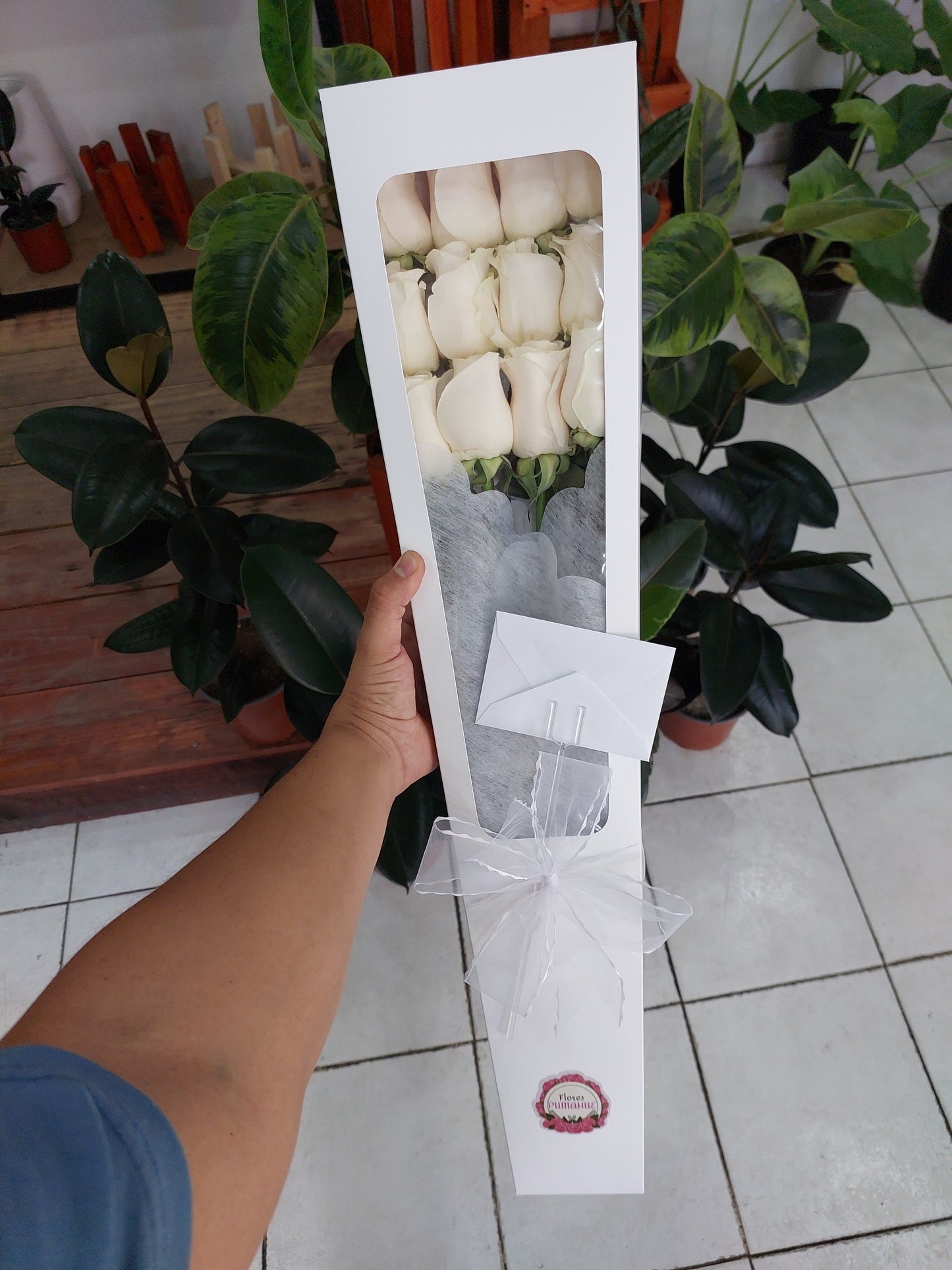 Caja 12 Rosas Ecuatorianas Blancas - Docena de Rosas Blancas