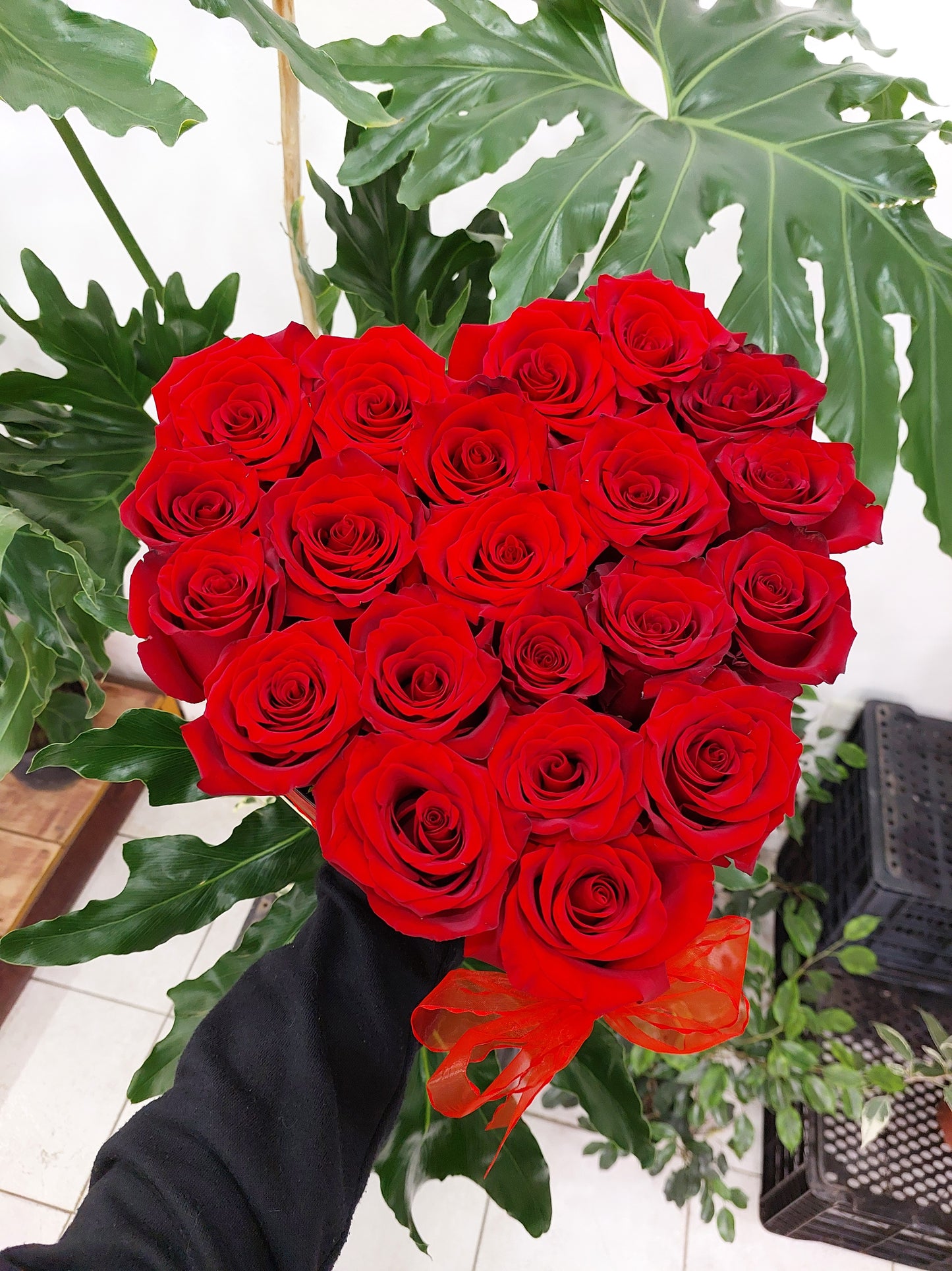 Corazón 30 Rosas Ecuatorianas Rojas - Rosas Importadas