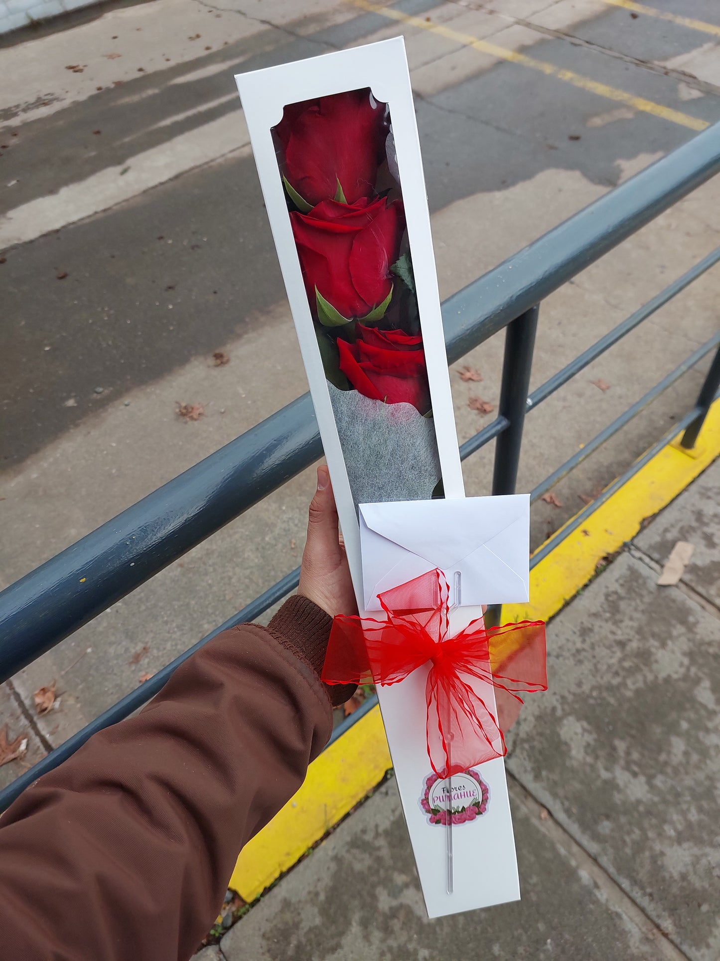 Caja 3 Rosas Ecuatorianas Rojas - Rosas Importadas