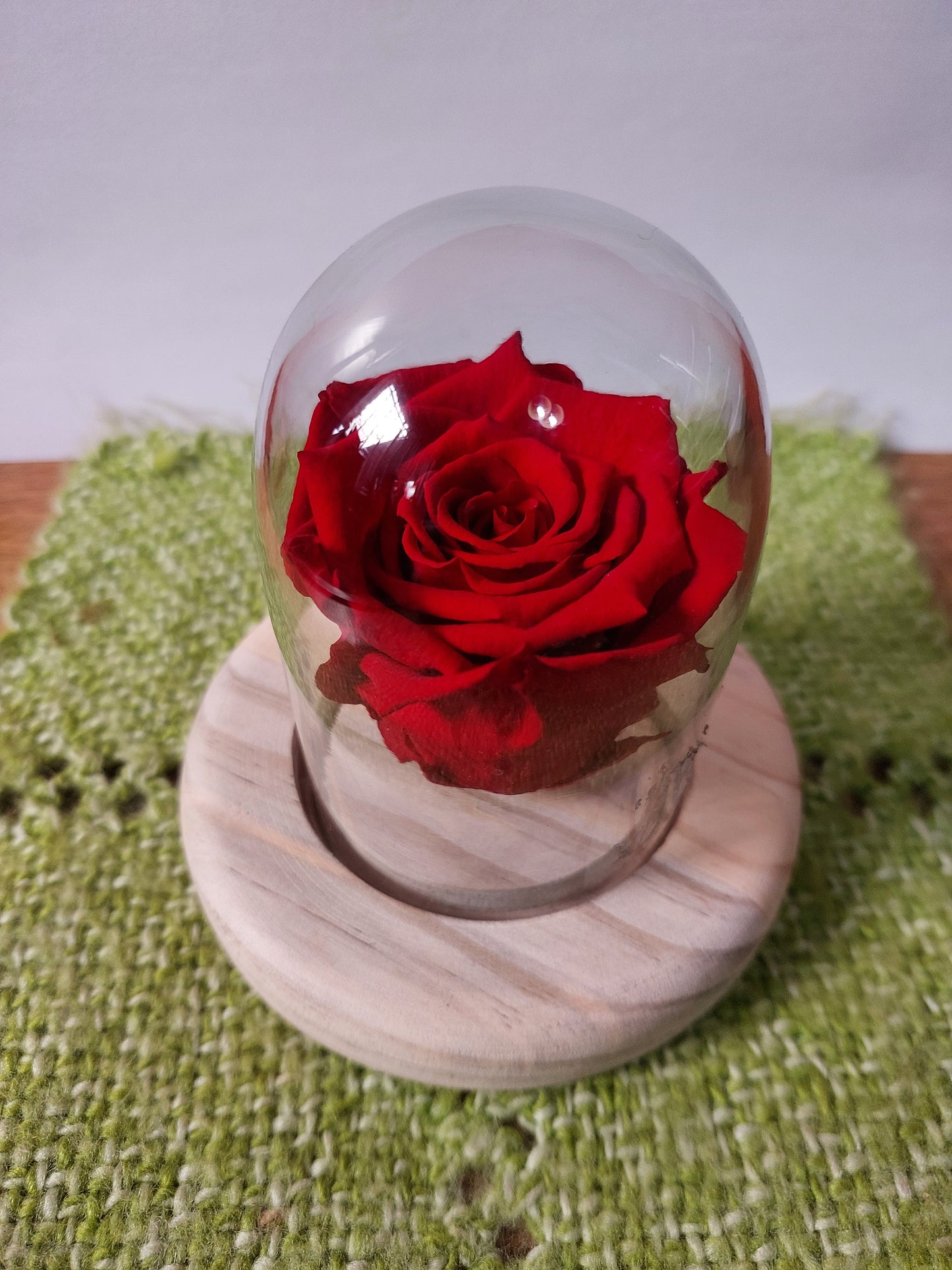 Rosa Natural Preservada en Cúpula de Cristal - Rosa Eterna sin Tallo