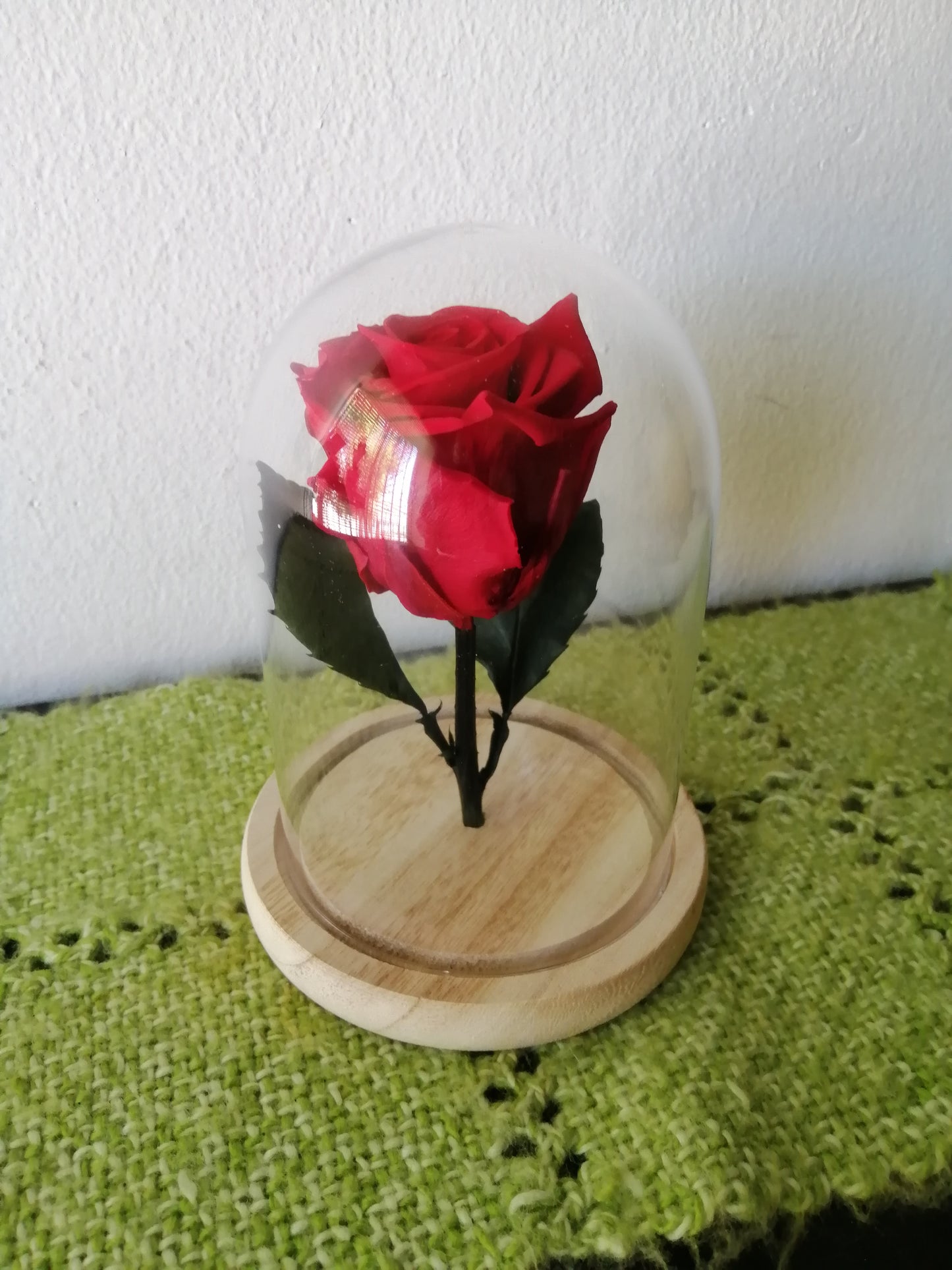 Rosa Eterna Roja En Cúpula de Cristal - Rosa Ecuatoriana Preservada