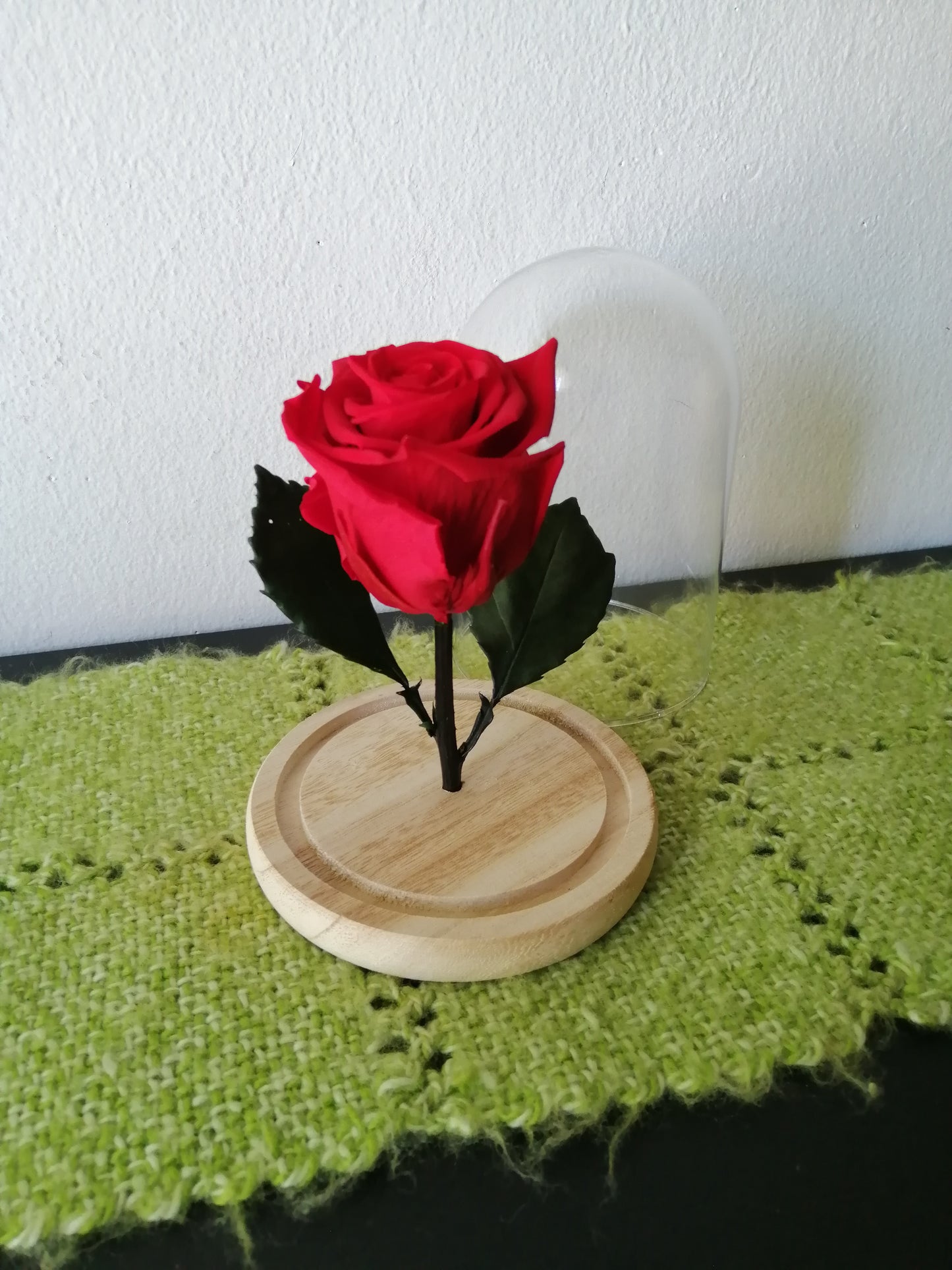 Rosa Eterna Roja En Cúpula de Cristal - Rosa Ecuatoriana Preservada