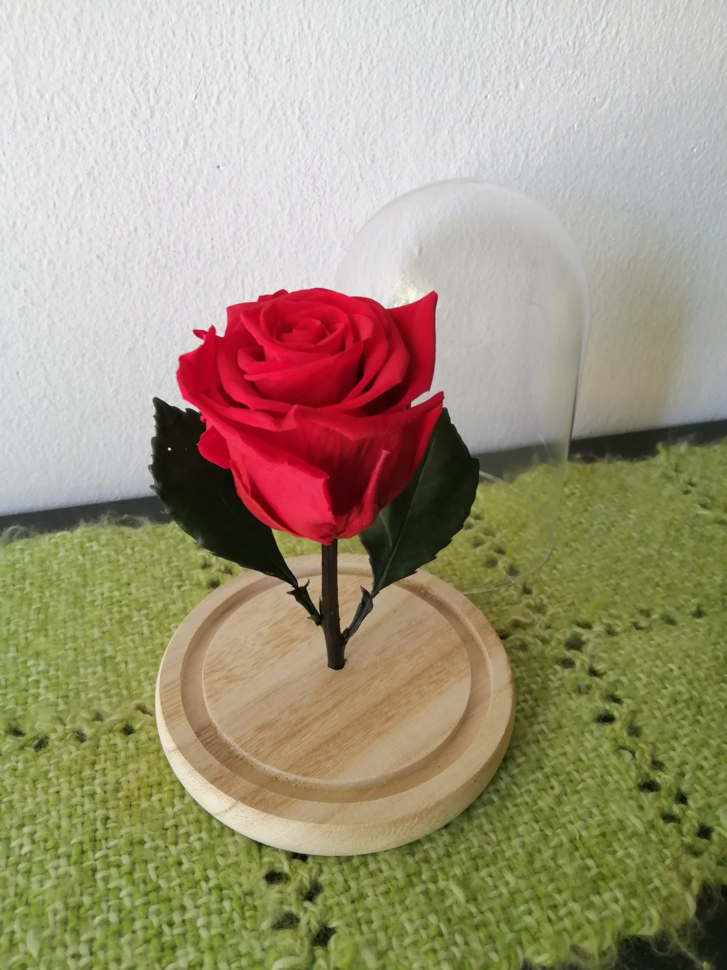 Rosa Eterna Roja En Cúpula de Cristal - Rosa Ecuatoriana Preservada