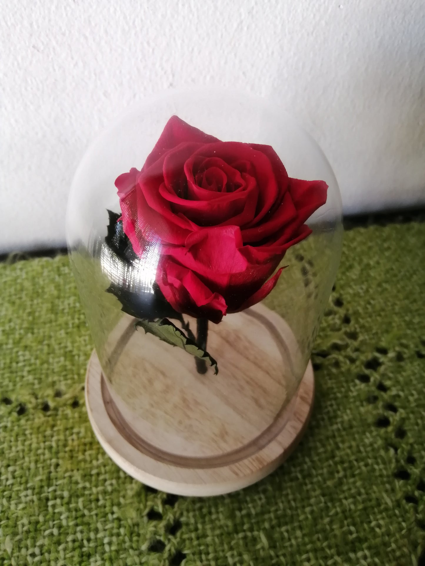 Rosa Eterna Roja En Cúpula de Cristal - Rosa Ecuatoriana Preservada