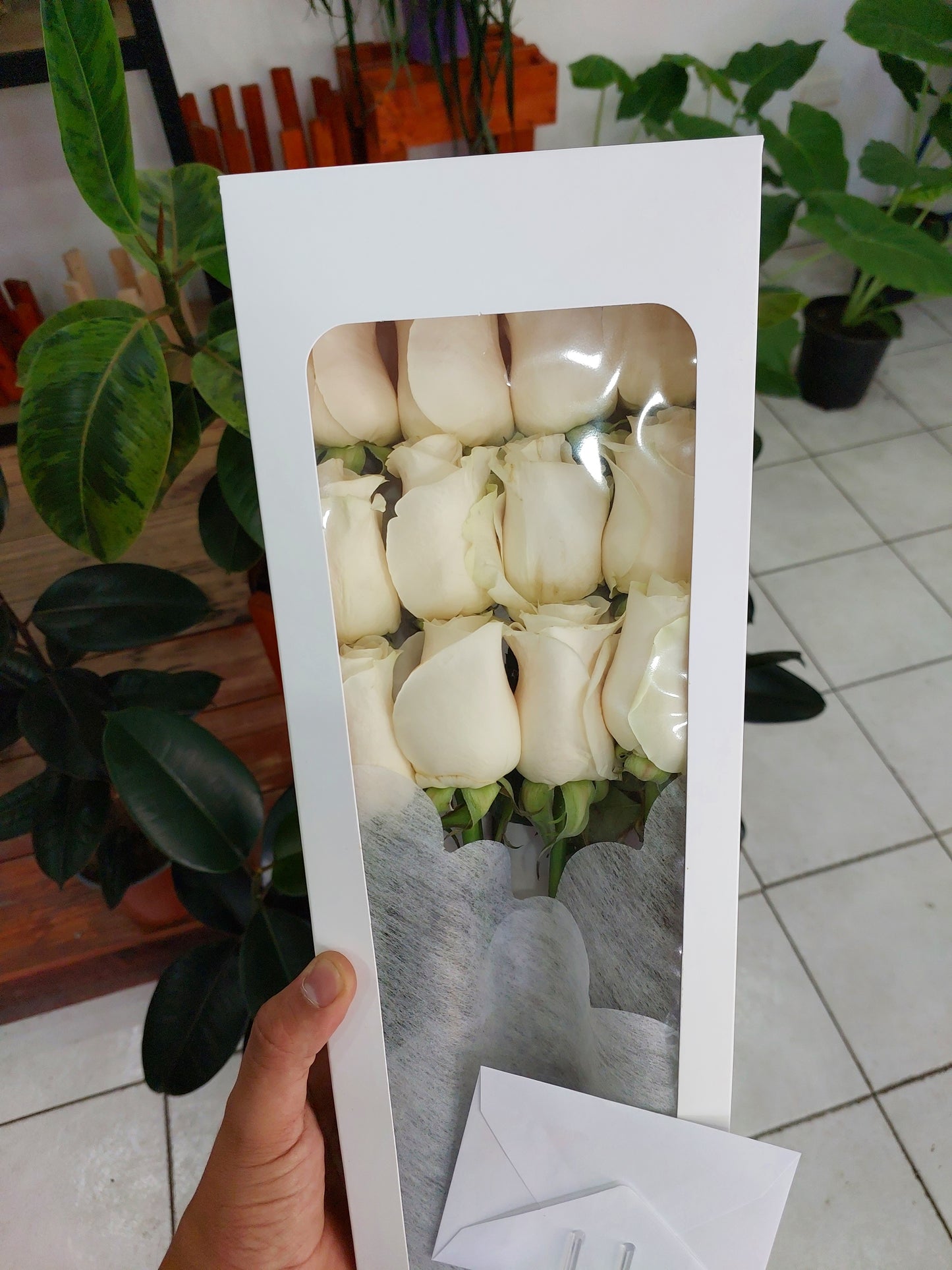 Caja 12 Rosas Ecuatorianas Blancas - Docena de Rosas Blancas