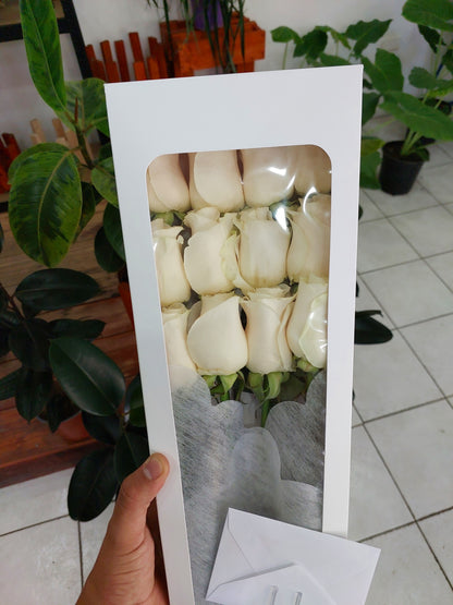 Caja 12 Rosas Ecuatorianas Blancas - Docena de Rosas Blancas