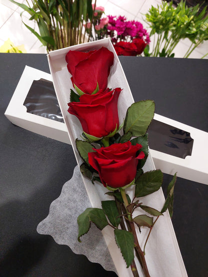 Caja 3 Rosas Ecuatorianas Rojas - Rosas Importadas