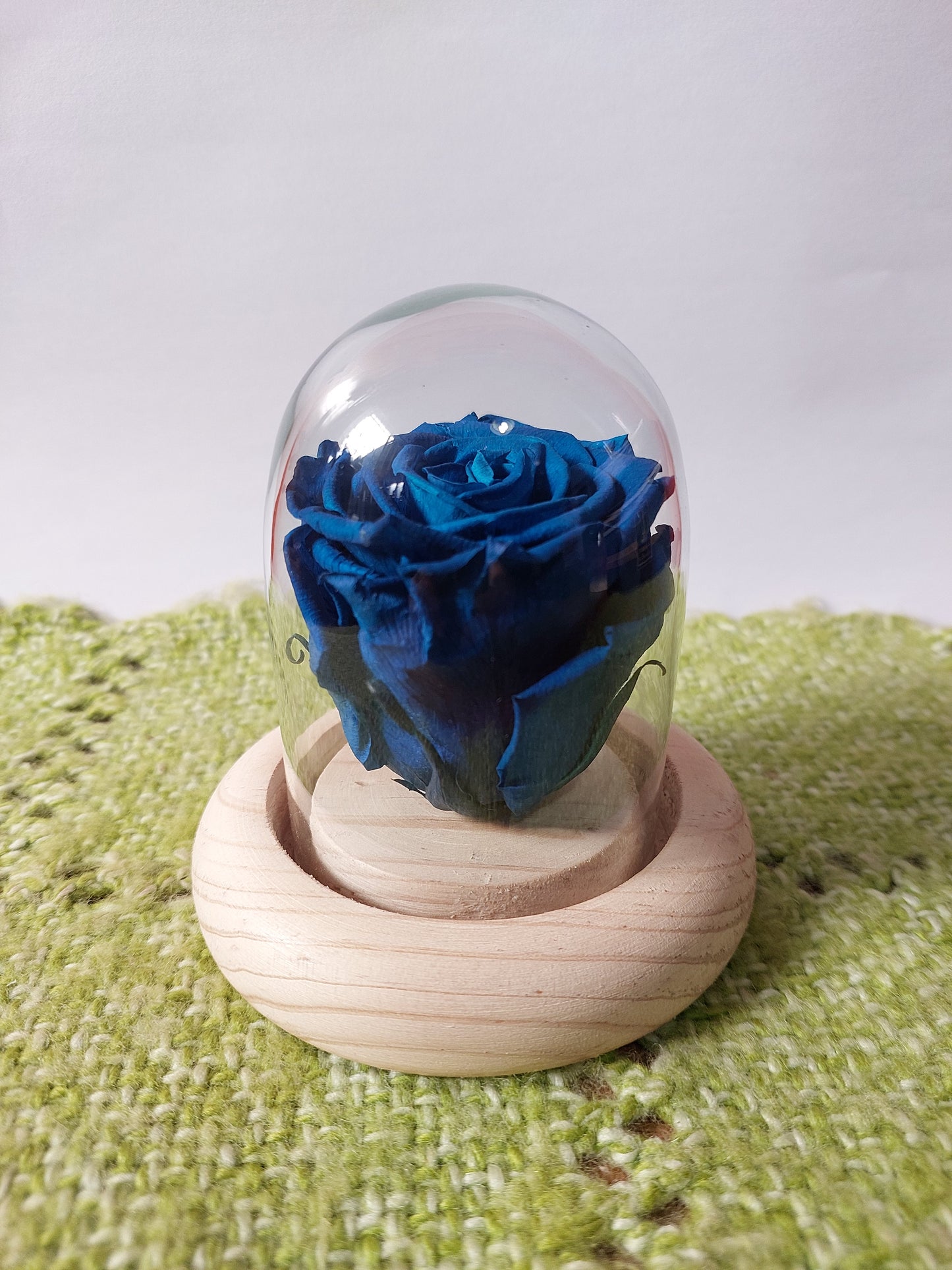 Rosa Azul Preservada en Cúpula de Cristal - Rosa Eterna sin Tallo