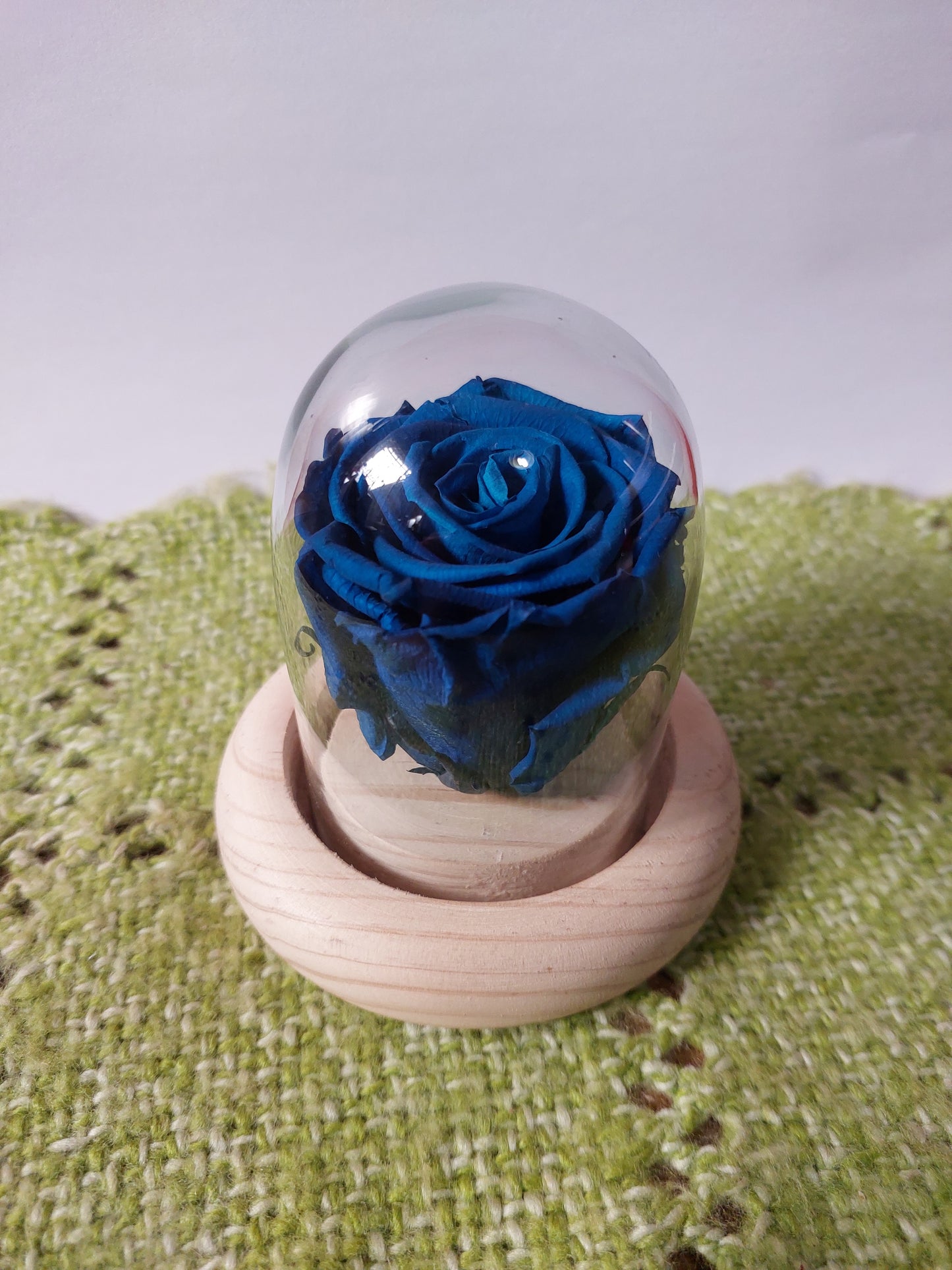 Rosa Azul Preservada en Cúpula de Cristal - Rosa Eterna sin Tallo