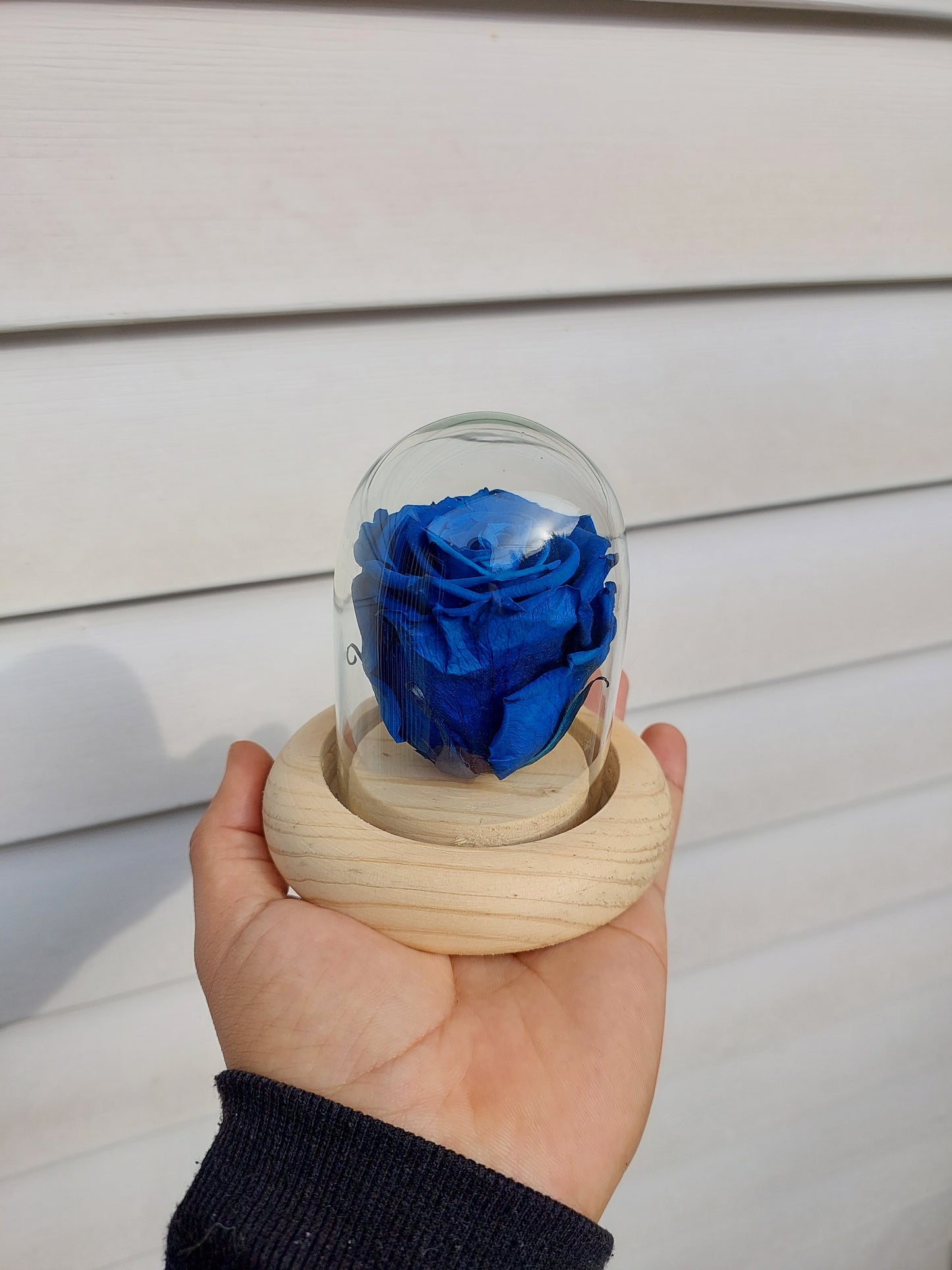 Rosa Azul Preservada en Cúpula de Cristal - Rosa Eterna sin Tallo