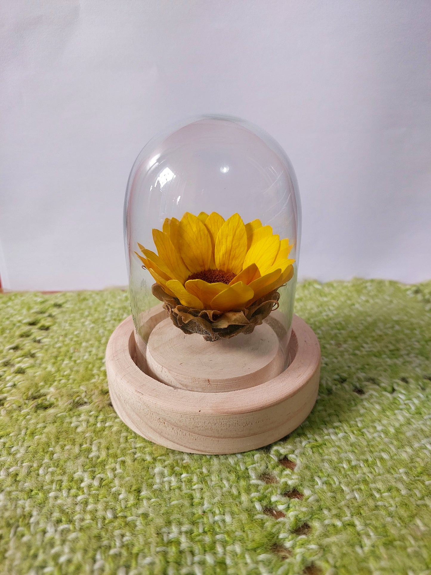 Girasol Natural Preservado - Girasol Eterno en Cúpula de Cristal