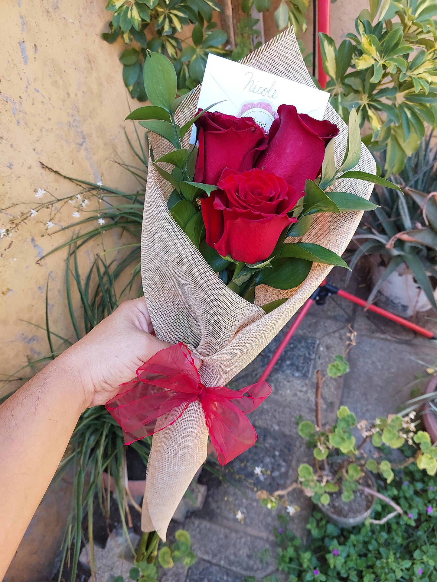 Ramo de 3 Rosas y 2 Ruscus en Arpillera