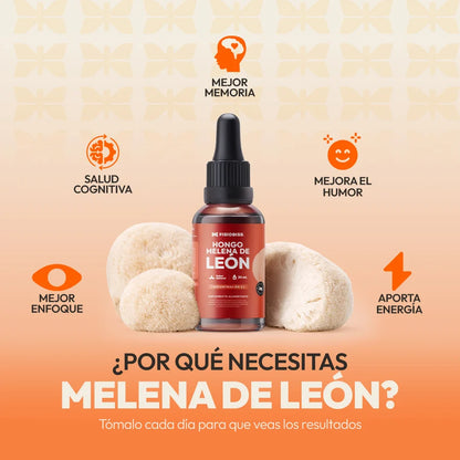 Extracto de Melena de León | Concentración, Memoria y Enfoque