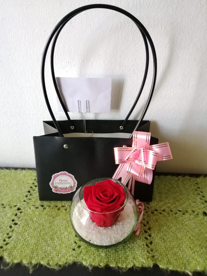 Rosa Ecuatoriana Roja Preservada - Rosa Natural Preservada