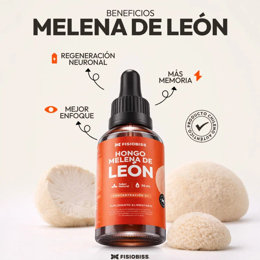 Extracto de Melena de León | Concentración, Memoria y Enfoque