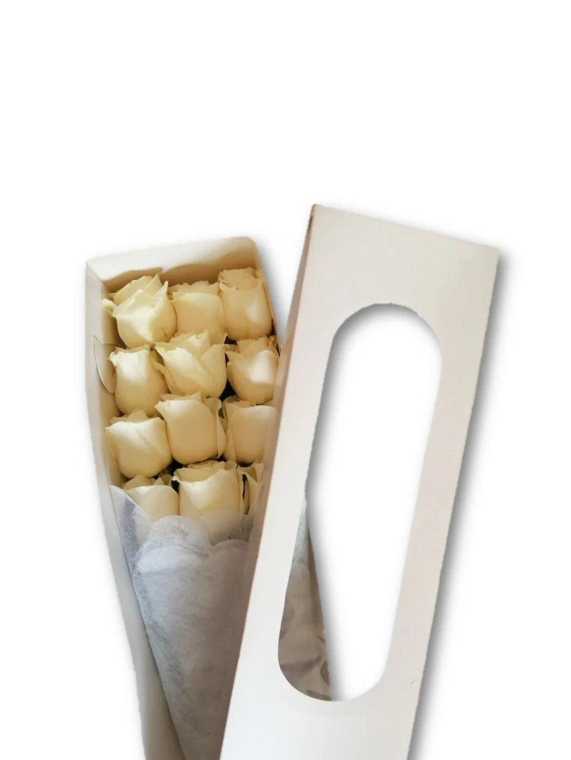 Caja 12 Rosas Ecuatorianas Blancas - Docena de Rosas Blancas Importadas