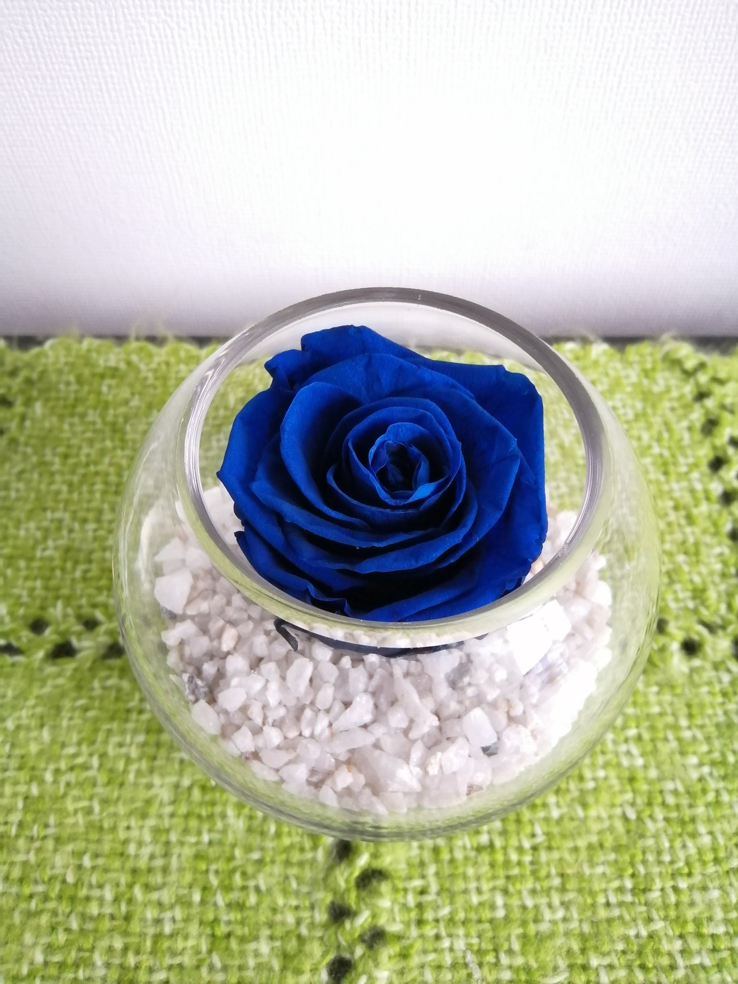 Rosa Ecuatoriana Azul Preservada en Cartera - Rosa Natural Preservada