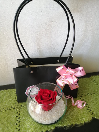 Rosa Ecuatoriana Roja Preservada - Rosa Natural Preservada