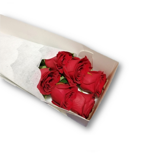 Caja de 6 Rosas Ecuatorianas Rojas - Media Docena Rosas Importadas